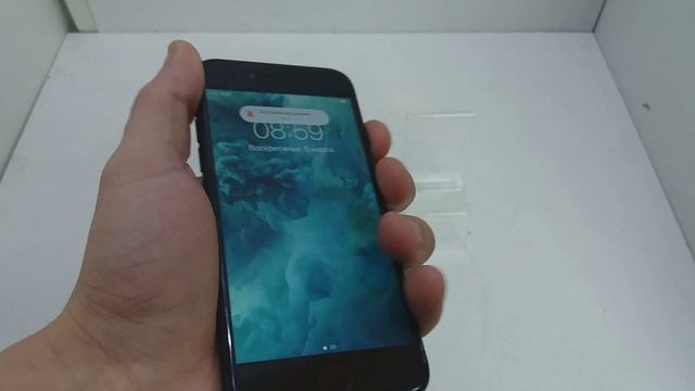 Видео №368187