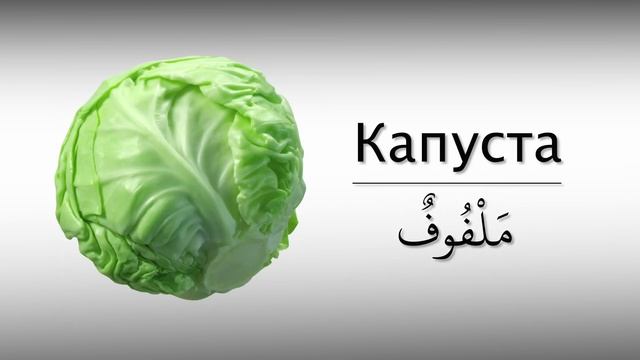 Овощи на арабском языке | арабский вместе