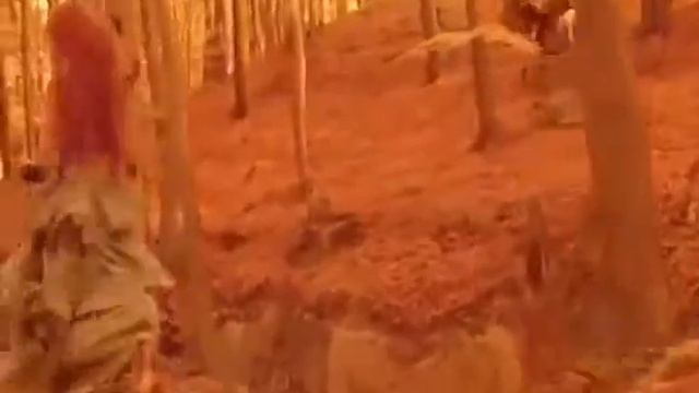 Владимир Маркин Я б назвал такую королева xvid