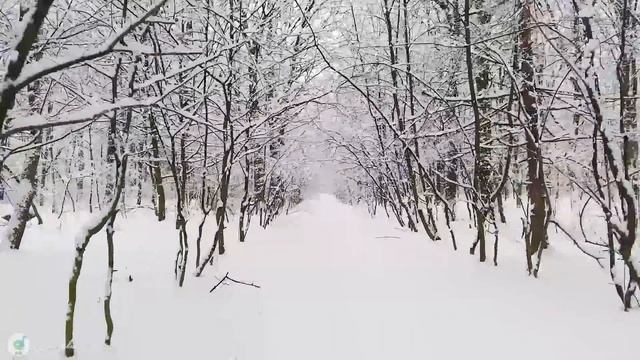 Christmas Wonderland 4K - scenic Winter Relaxation Film with Top Christmas Songs of All Time