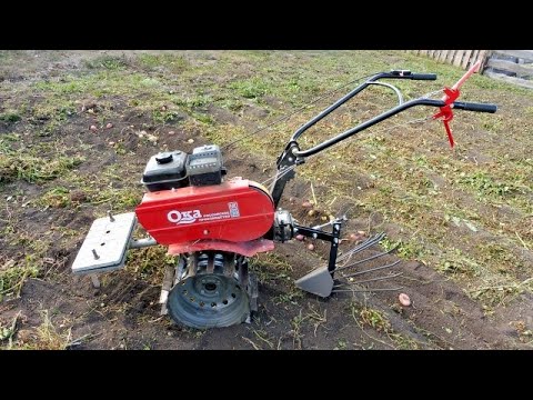Мотоблок Ока - копаем картофель  - копалка Зубр.