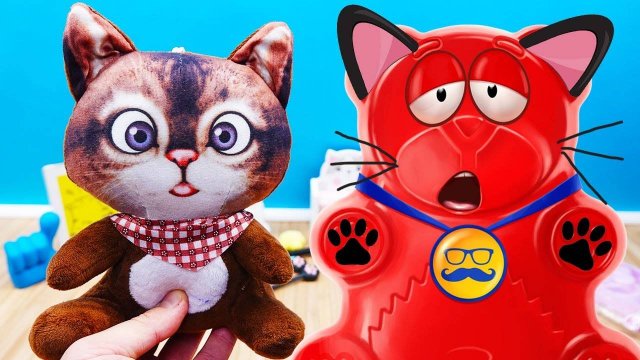 День кота с желейным медведем Валерой | Кото антистрес подарки на день медведя