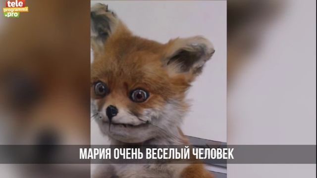 Аронова