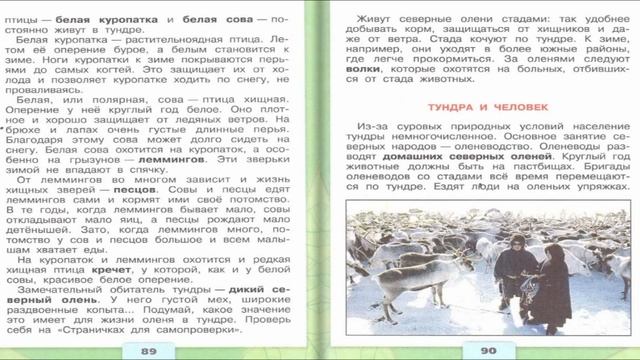 Тундра. Окружающий мир. 4 класс, 1 часть. Учебник А. Плешаков стр. 84-94
