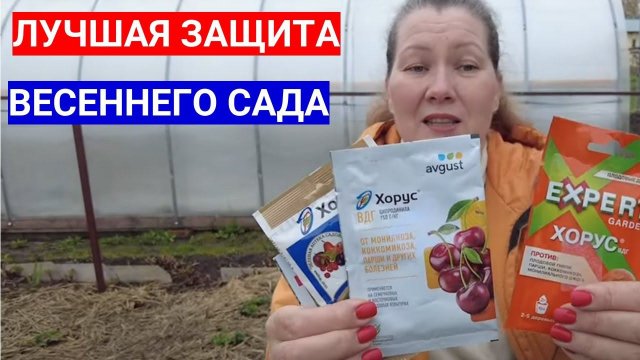ИСПОЛЬЗУЮ ХОРУС ВЕСНОЙ ОТ БОЛЕЗНЕЙ НА ВСЕХ ПЛОДОВЫХ. ИНСТРУКЦИЯ ПО ПРИМЕНЕНИЮ ПРЕПАРАТА ХОРУС