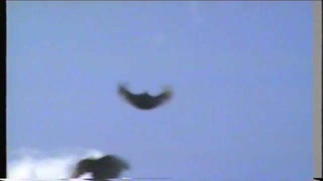 Голуби Николаевские Серпасто-Выворотные