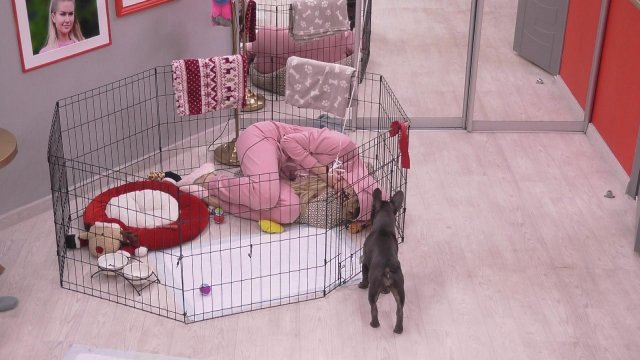 Спаси свою любовь, 1 сезон (09.02.2020)