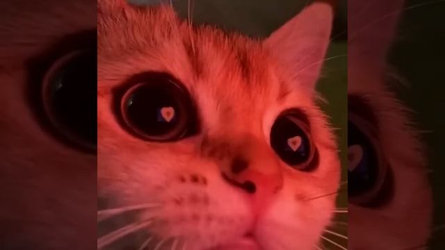 me gustas tu (sped up)