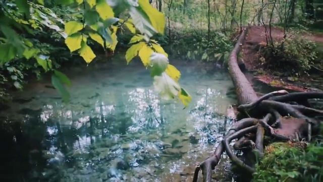 УбайдуЛлах Устаз - Сура Ан Наба (Весть). Красивое чтение Корана. Священный Коран. #коран #ислам