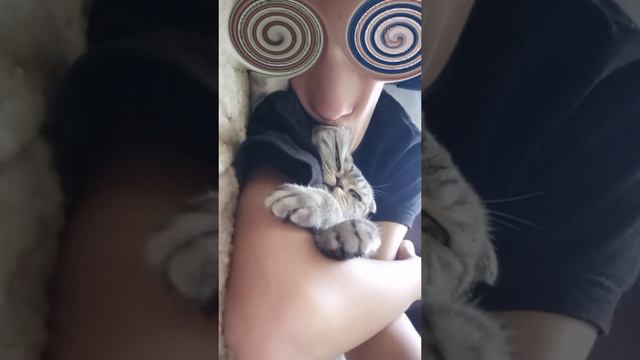 бла бла бла бле бле бле
