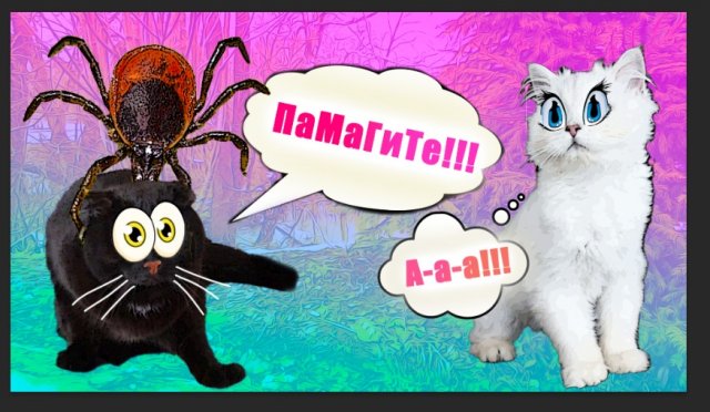 Кошечка Никиса УМИРАЕТ! Шанелька! Кошки! СПАСИТЕ!!!