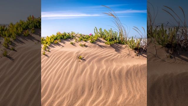 Дорога В Дюнах - История Для Сна