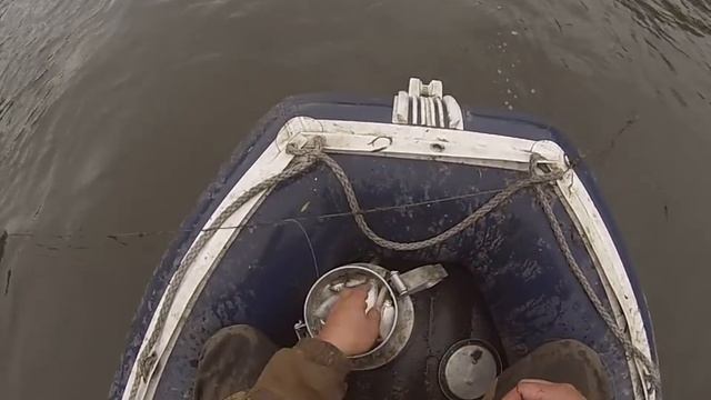 Перемет на судака.Рыбалка.Не вошедшее!