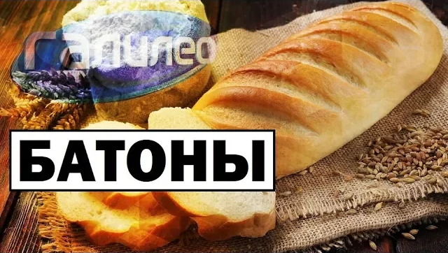 Галилео | 0090 Почему у батонов шрамы?