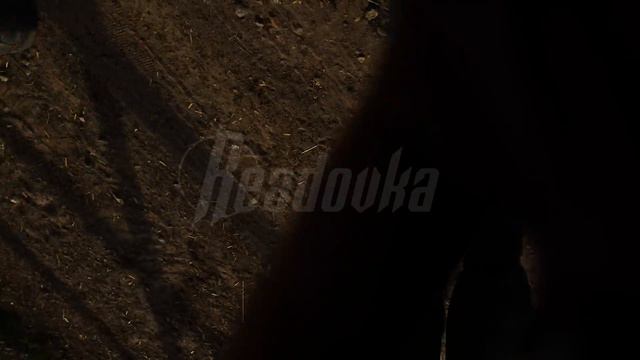 Полное видео вчерашнего нападения сотрудников «Мираторга» на наших коллег из Readovka67