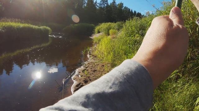 Спиннинг на лесной речке в Новгородской области