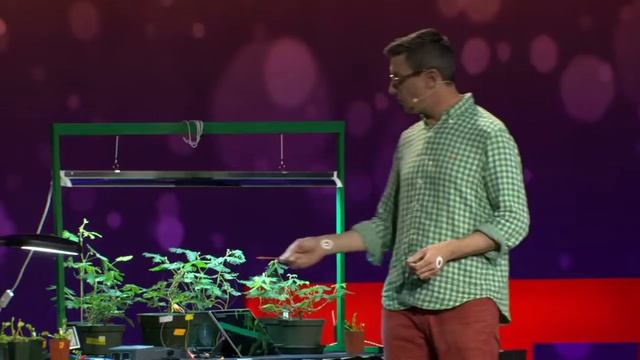 Электрические эксперименты с растениями, которые считают и общаются.