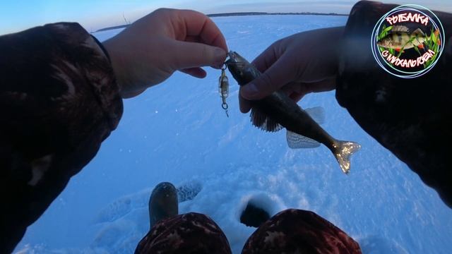 Рыбалка с Михалычем на Водозаборе