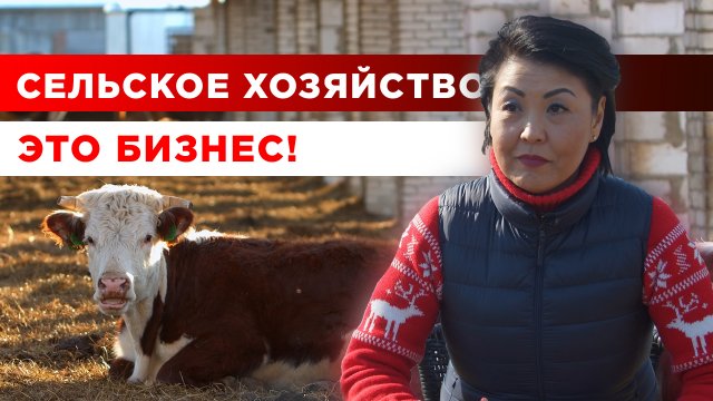 Сельское хозяйство - это бизнес | Мясное животноводство | Разведение крупного рогатого скота
