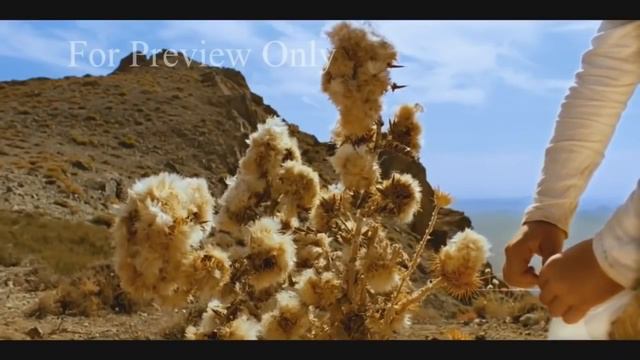Х/ф Пророк Мухаммад (мир ему!)