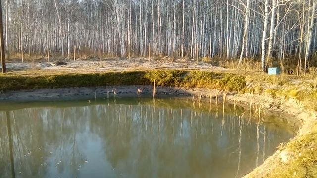 Как копать пруд( нюансы и советы.)