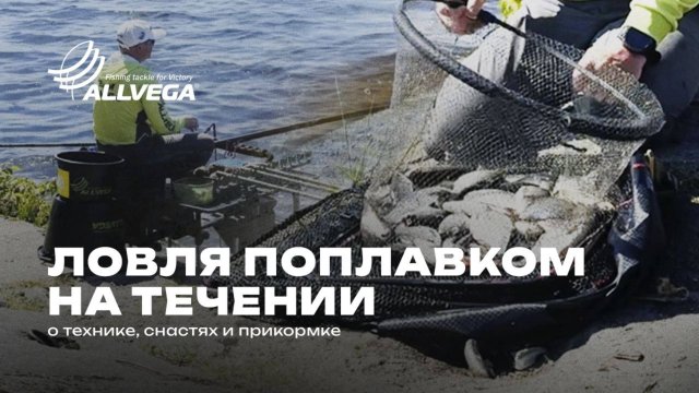 Штекер: Тайны рыболовного мастерства
