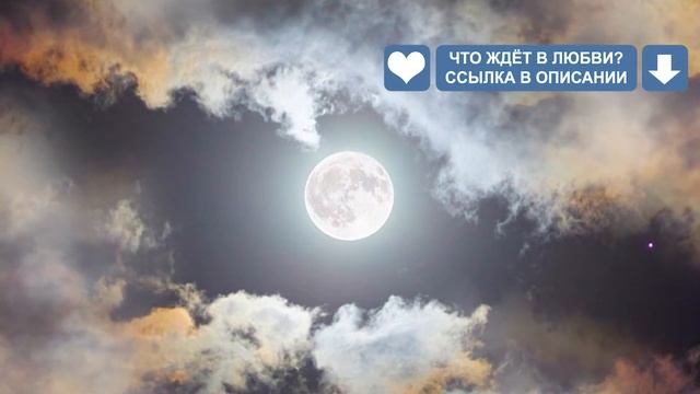 Совместимость мужчины Стрельца и женщины Дева