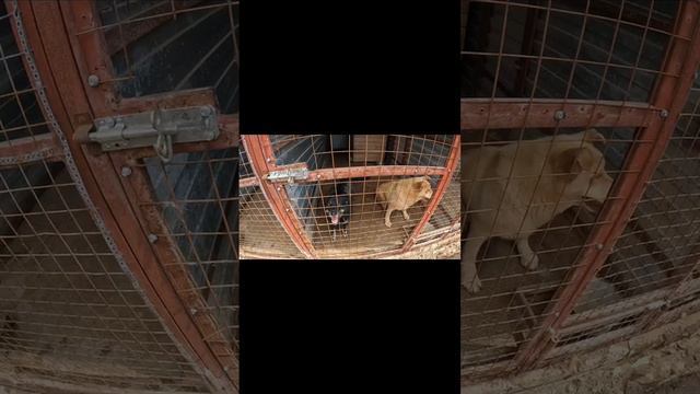 Что такое счастье