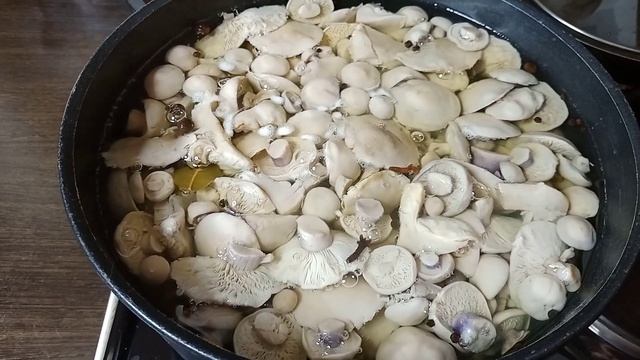 Маринованные Синеножки на зиму! До чего же вкусные грибы!