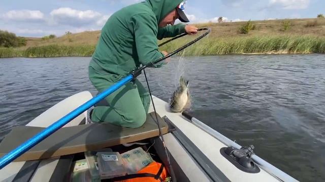 57048778_456239427.mp4