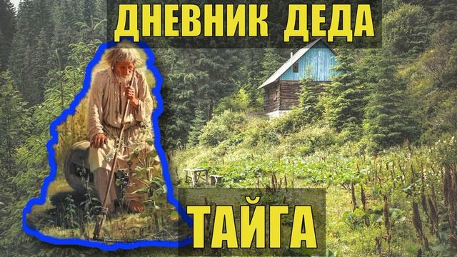 ПРОМЫСЕЛ ДНЕВНИК ДЕДА ДЫМАРЯ ЗИМОВЬЕ СЛУЧАЙ в ЛЕСУ ПАСЕКА ЛЕСНАЯ ИЗБА СУДЬБА ЖИЗНЬ в ТАЙГЕ.mp4