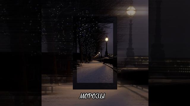 мосты - МОРОЗЫ ( покатаемся по городу)