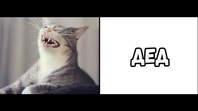ПРИКОЛЫ! ЛЕГЕНДА О ЯРЛЫКЕ - МЕМЫ!!! Смешные видео от – Доми шоу!
