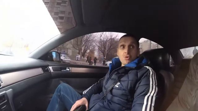 Мопс рассказывает истории