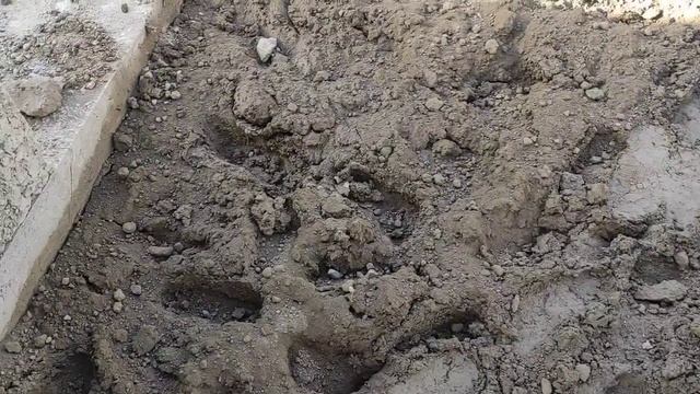 ПОСТРОИЛ ДОМ ИЗ ГЛИНЫ!1 ЧАСТЬ