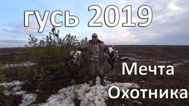 ? ОХОТА НА ГУСЯ ВЕСНОЙ .МЕЧТА ОХОТНИКА..mp4
