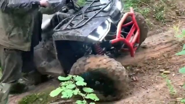 Квадрик 200 кубов круче BRP , вылезет везде, какой выбрать квадроцикл ?!