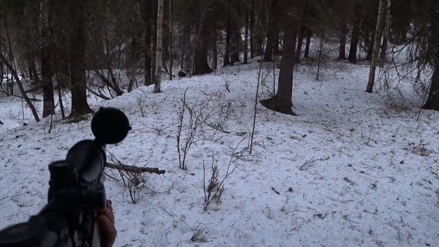 РЫБАЛКА И ОХОТА В ОДНОМ ФЛАКОНЕ! И ТАКОЕ БЫВАЕТ! РЕКА ПИЖМА! ЗА ОДНО И НА ОХОТУ СХОДИЛ.