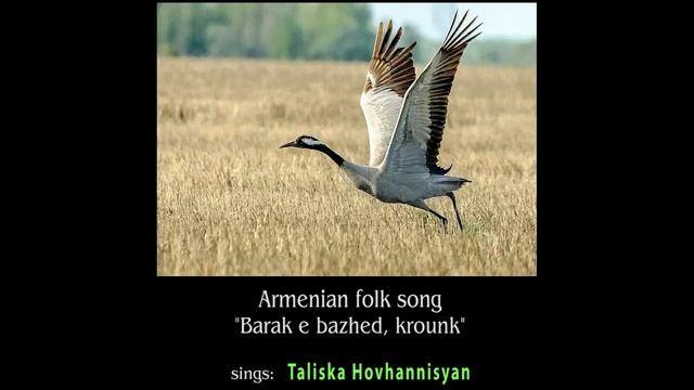 Талиска Ованнисян - Барак э бажед, крунк (Армянская народная песня)