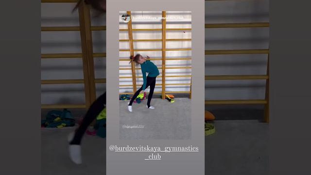 художественная гимнастика