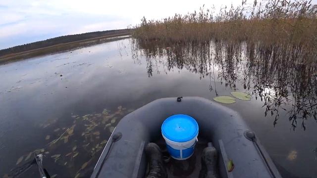 Ловля щуки на кружки