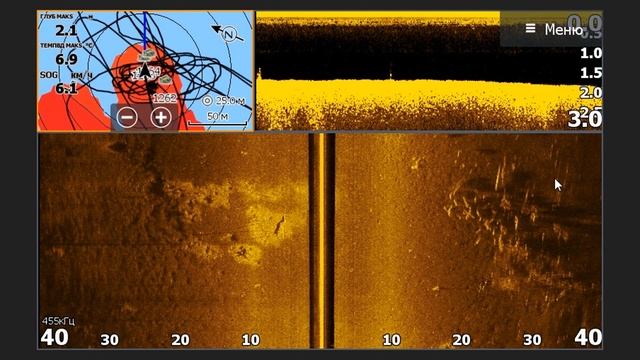 Как выглядит рыба в эхолоте? Часть 4. Судак, сазан, сом.