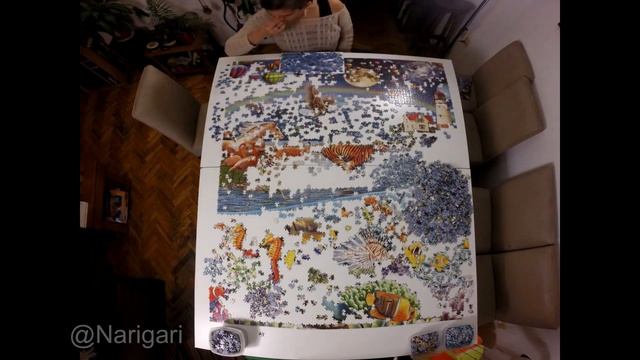 24000 pc Life jigsaw puzzle - Part 2