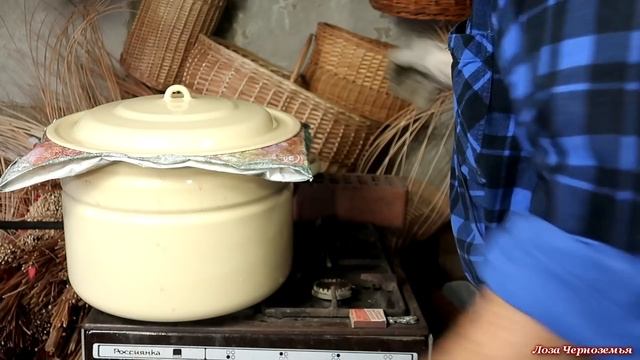 Варка прутьев ивы для очистки от коры. Самый простой способ