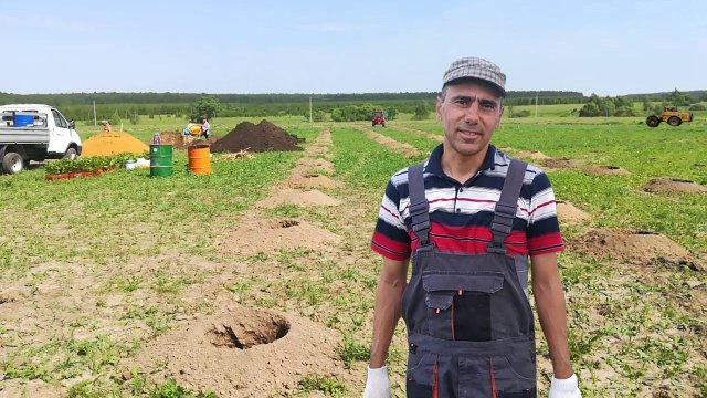 Закладка виноградника в Тульской области