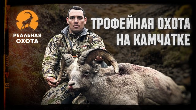 ТРОФЕЙНАЯ ОХОТА НА КАМЧАТКЕ | ОХОТА НА ЧУКОТСКОГО СНЕЖНОГО БАРАНА