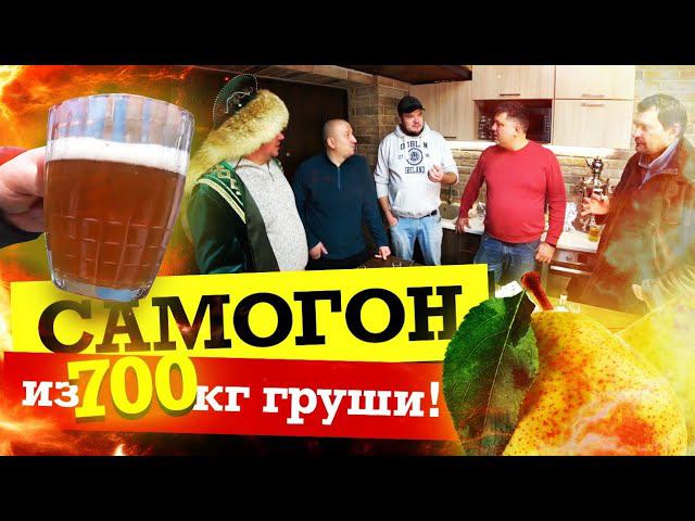 Самогон из груши / ШНАПС / Грушевый сидр