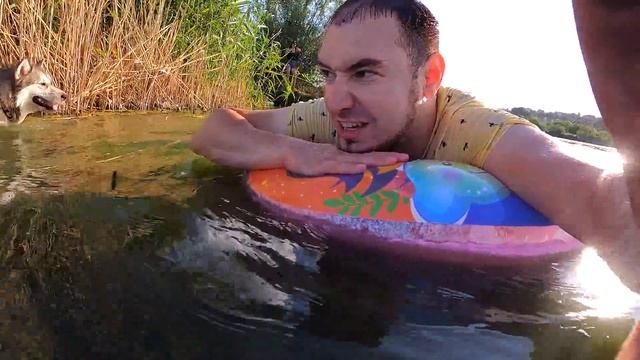 УЧИМ ХАСКИ ПЛАВАТЬ / собаки в речке