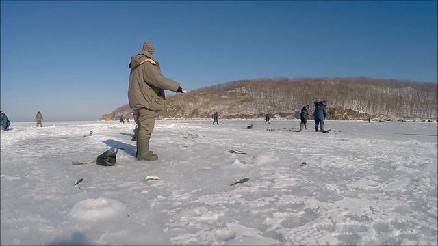 Зимняя рыбалка во Владивостоке - Навага (  Ice fishing in Vladivostok  )