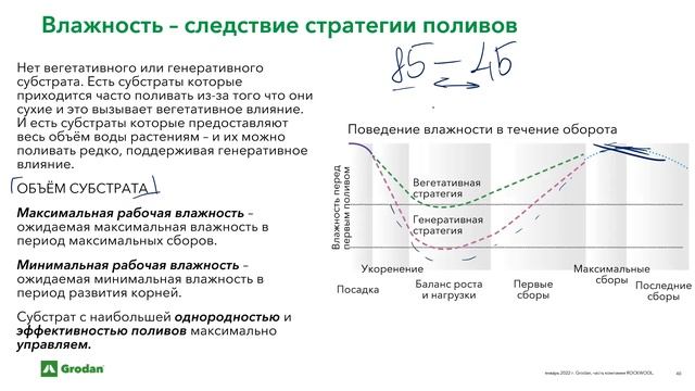 Водный баланс растений.Часть 2.5.